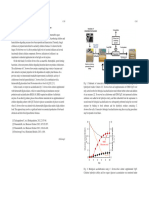 Direct Saccharification Technology From Lignocellulosic Biomass