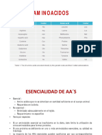 Metabolismo de Aminoacidos