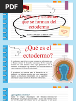 Desarrollo y función del ectodermo | PDF | Embrión | Sistema nervioso