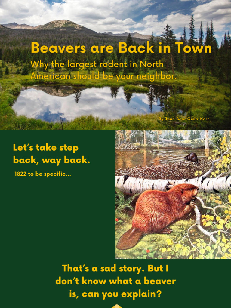 Beavers: Ecosystem Engineers and Biodiversity | PDF | Social Science ...