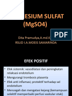 Dita 393332293-Presentasi-Cara-Pemberian-MgSO4-1