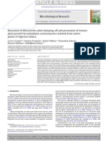 Biocontrol of Rhizoctonia Solani Damping-Off and Promotion