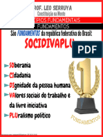 Princípios Fundamentais