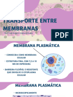 Membrana Plasmática