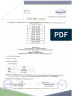Informe N 91-CO y Certificado N 65 - Mandilones Plomados - Nov 2020