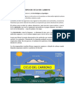 TIPOS DE CICLO DE CARBONO para Cargar