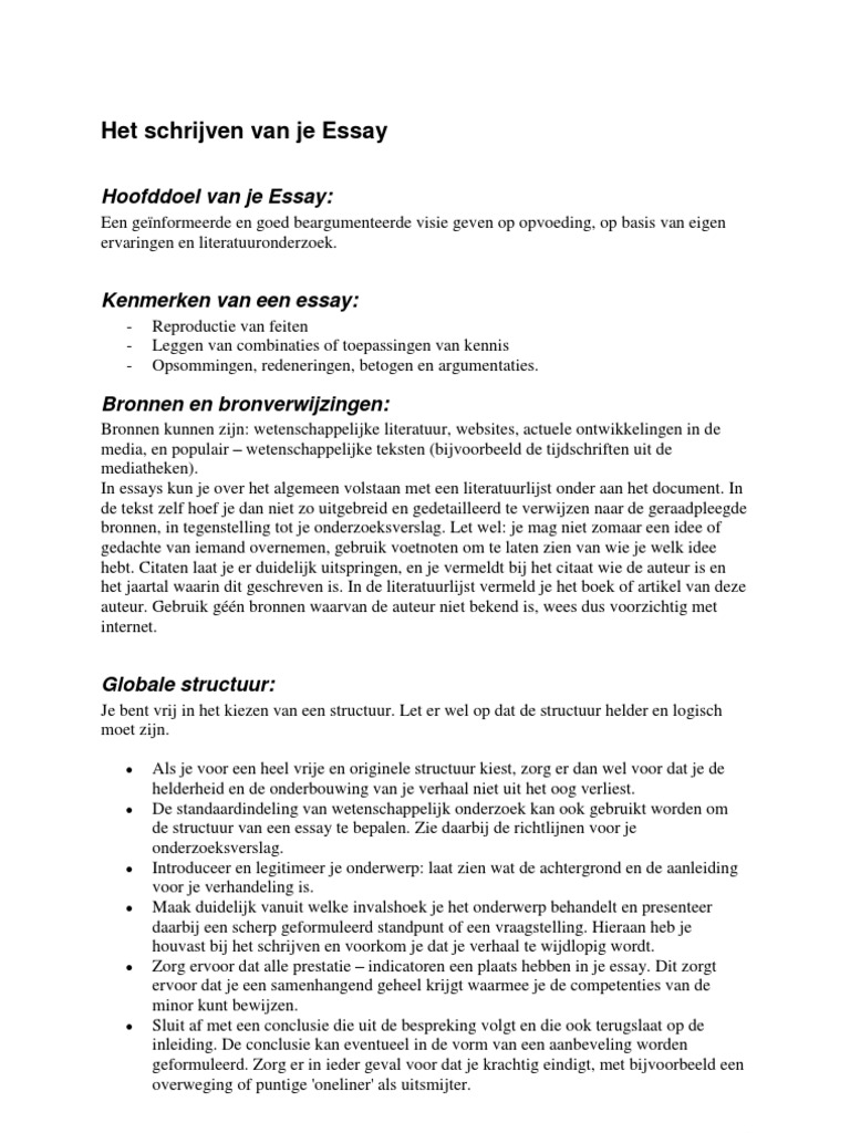 Essay Schrijven