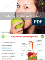 PP8 Sistema Digestivo
