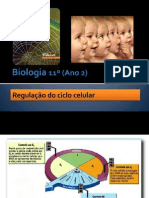 Regulação do ciclo celular