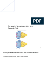 Neuronal Junction