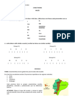 Conectividad 17 de Enero