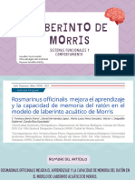 Laberinto de Morris