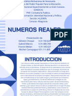 Números Reales Listo