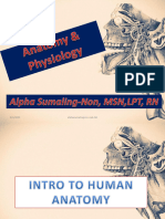 Intro To Human Anatomy