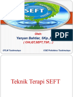 Praktek SEFT