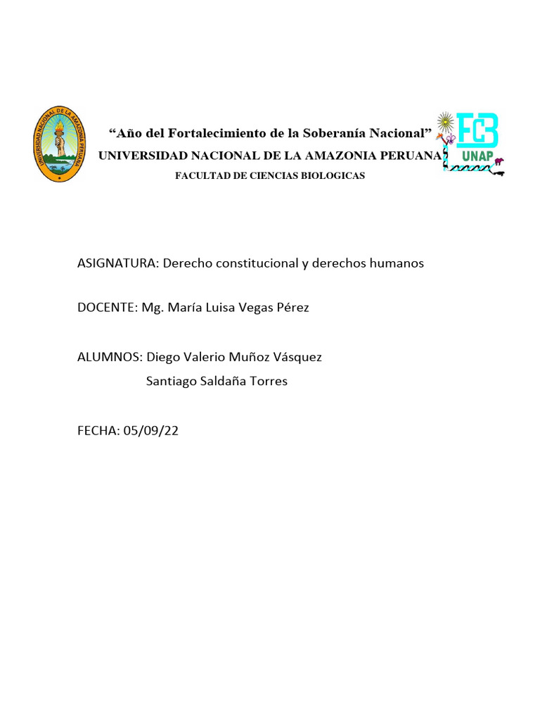 Derecho a la Identidad Étnica y Cultural | PDF | Sociedad | Multilingüismo