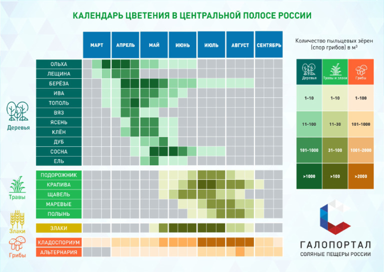 календарь цветения | PDF