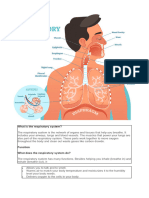 What Is The Respiratory System