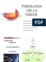 Fisiologia de La Vision