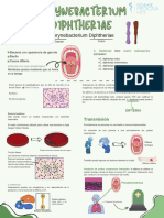 Corynebacterium Diphtheriae