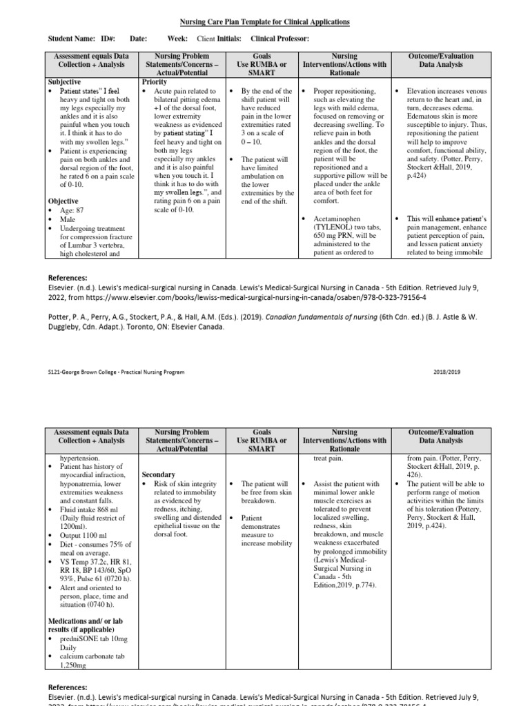 Nursing Care Plan Template for Patients | PDF | Edema | Pain