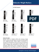 EN GelPilot DNA Molecular Weight Markers