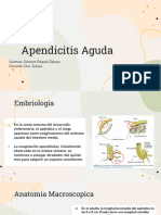 Apendicitis