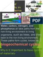 Tracing Nutrients Cycle