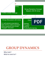 What To Observe in Groups - Critique