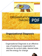 Organisational Diagnosis