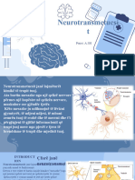 Neurotransmetuesit