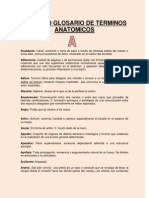 Glosario de Anatomia