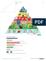Sge Pyramid E Basic 20161