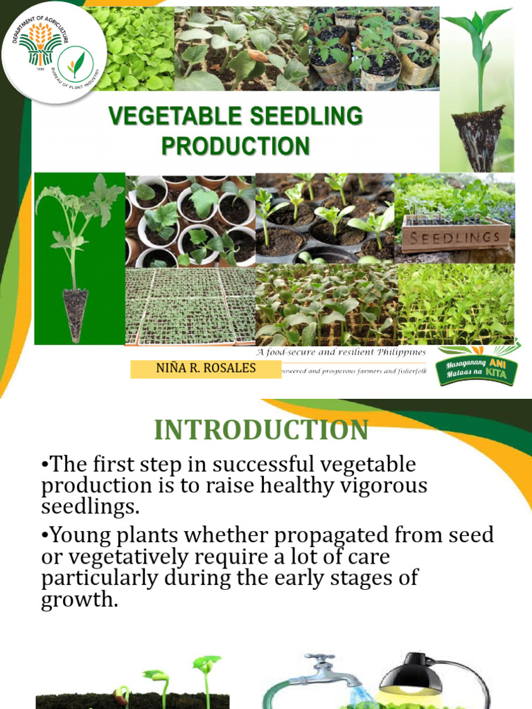 Vegetable Seedling Production Guide | PDF | Sowing | Fertilizer