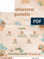 Analizatorul Gustativ