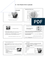 Slides - Aula Infecção Urinária Na Gestação - Print