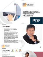 Diapositivas Ii Domina El Sistema Tributario Financiero