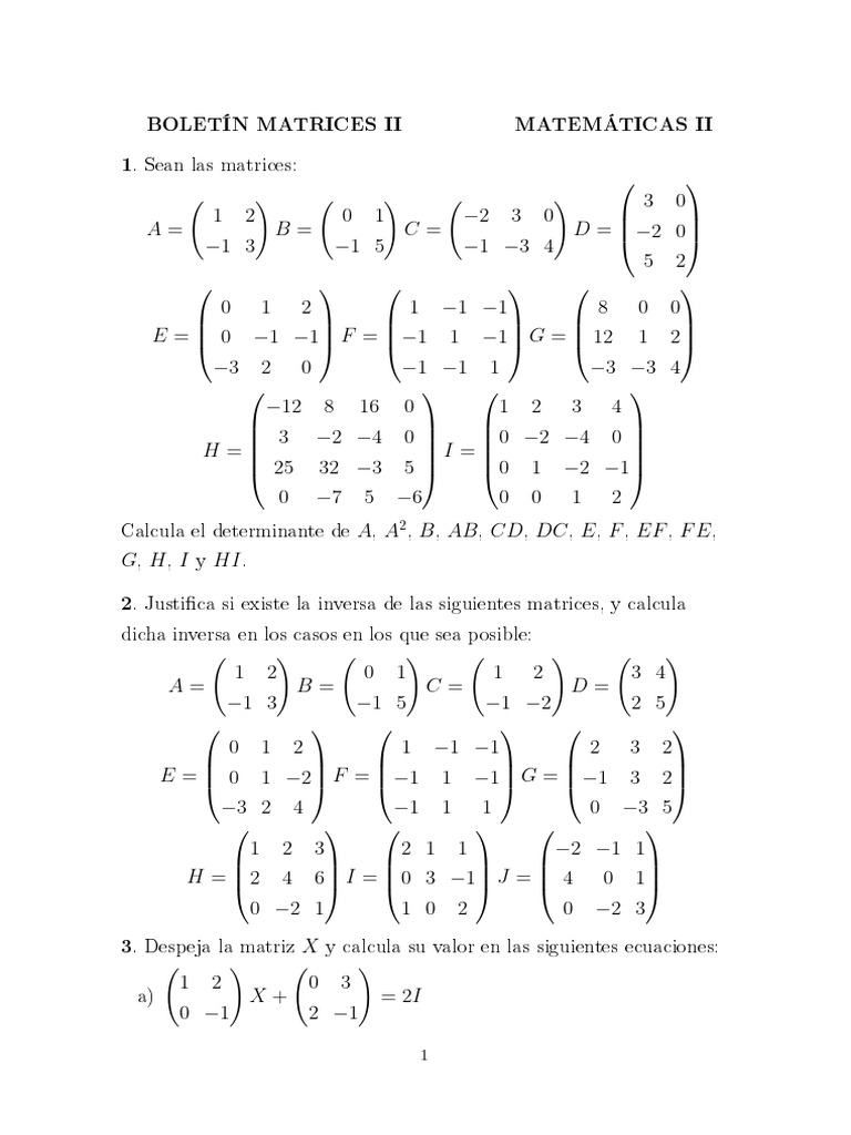 Ejercicios de Matrices II | PDF | Matriz (Matemáticas) | Matemáticas
