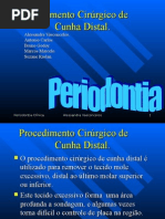 Cunha Distal Graduacao 2006