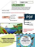 IPAS-Rantai Makanan Dan Jaring-Jaring Makanan