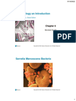 CH 06 Microbial Growth