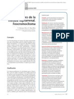 02.030 Tumores de La Médula Suprarrenal. Feocromocitoma