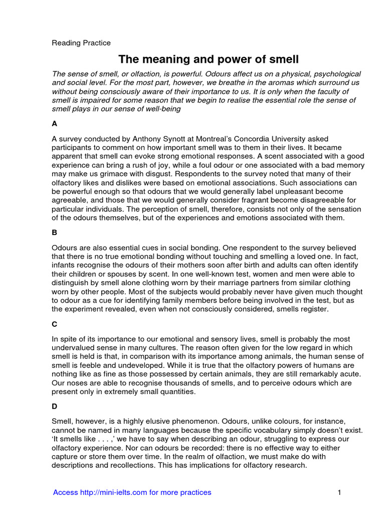 The meaning and power of smell pdf odor senses