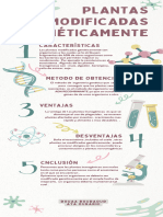 Infografía Reglas de Experimento Química Doodle Ilustrado Verde y Rosa Pastel