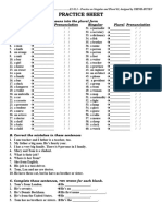 E1 02.3 - Practice On Singular and Plural 01