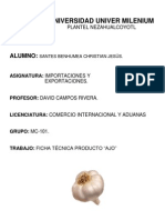 Ficha Técnica Producto "Ajo"