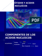 Nucleótidos y Acidos Nucleíco