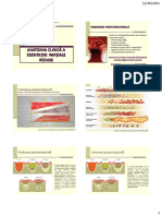 Curs 03 - Anatomia Clinica EPR - 2021-2022