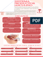 Infografía Autocuidado Ilustrado Rosado