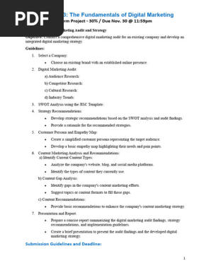 Integrated Digital Marketing Audit and Strategy Term Project F23